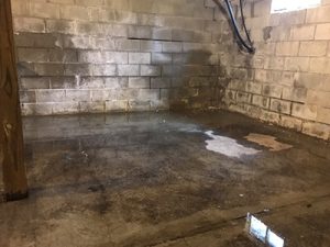 basement water problem 300x225 Expertise in Action: Professional Basement Waterproofing for a Healthy Home