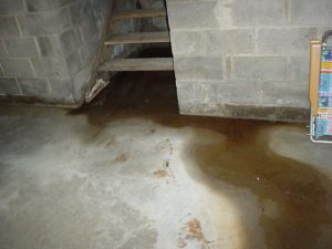 hatchway entrance flood lg 300x225 Expertise in Action: Professional Basement Waterproofing for a Healthy Home